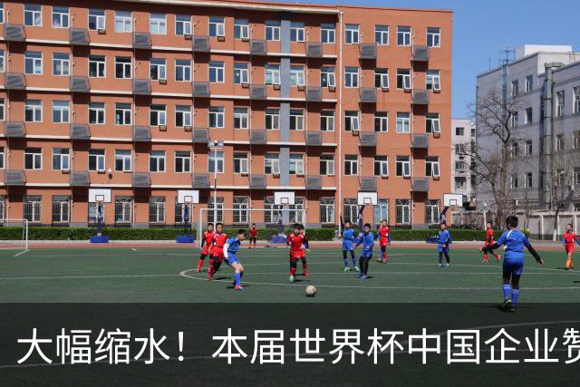 大幅缩水！本届世界杯中国企业赞助投入超5亿美元，较上届缩水64%
