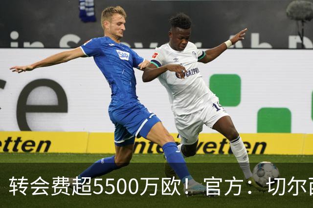 转会费超5500万欧！官方：切尔西签下21岁帕莱斯特拉，签约7年
